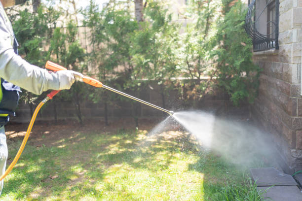 Flea Control Services in Webster Groves, MO